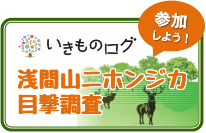 浅間山ニホンジカ目撃調査