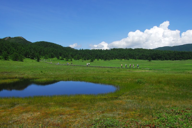 池の平湿原