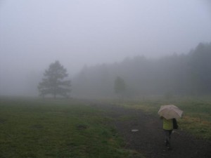 登山道入口付近の様子