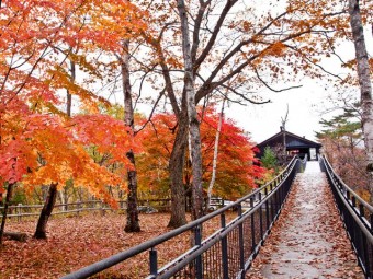 秋の鹿沢園地