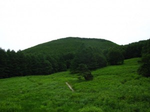 野草園から村上山