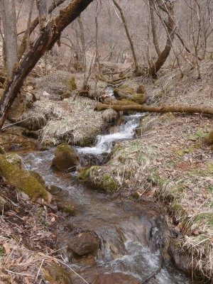 所沢川