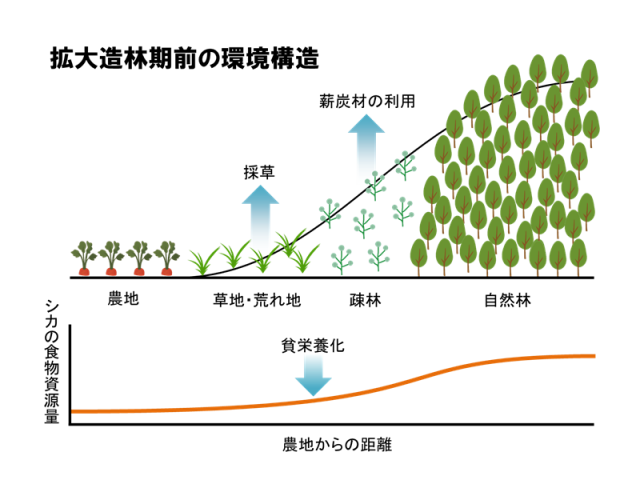 拡大造林期前の環境構造