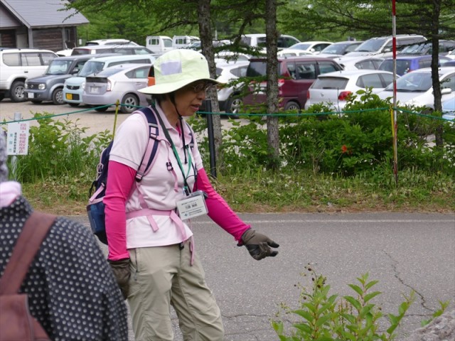 駐車場は車がいっぱい