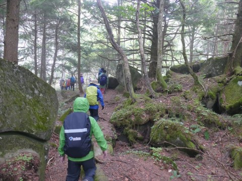 中分岐より臼窪湿原へ向かう