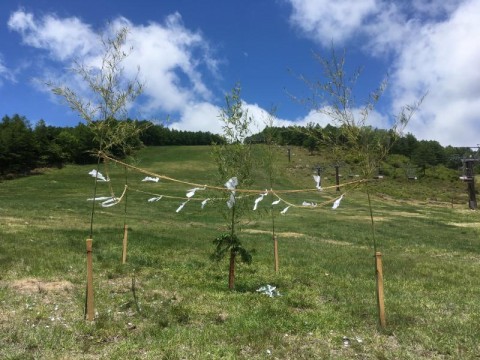 湯の丸高原山開き